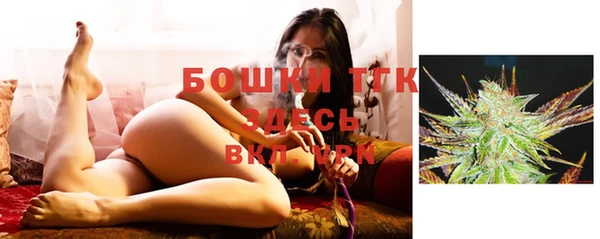 бошки Гусиноозёрск