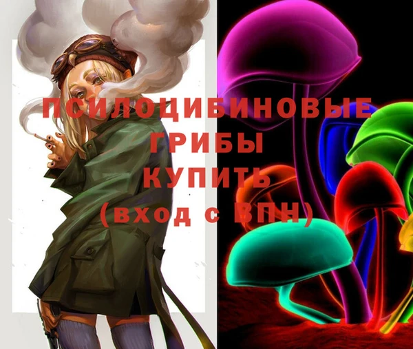 спайс Горно-Алтайск