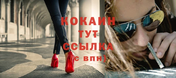 эйфоретик Гусь-Хрустальный