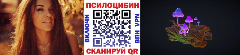 Купить где  Городище  Галлюциногенные грибы Magic Shrooms 